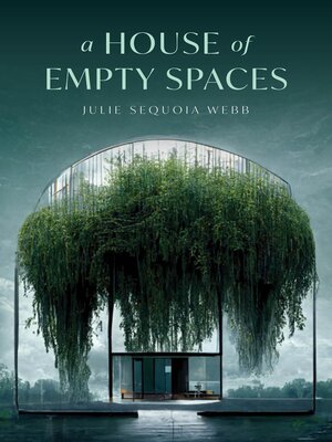 cover image of A House of Empty Spaces